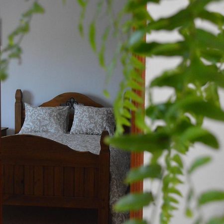 Casa Las Pardelas อิคอดเดลอสวินอส ภายนอก รูปภาพ
